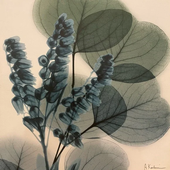 Beautiful art piece - flowers purchased on art.com